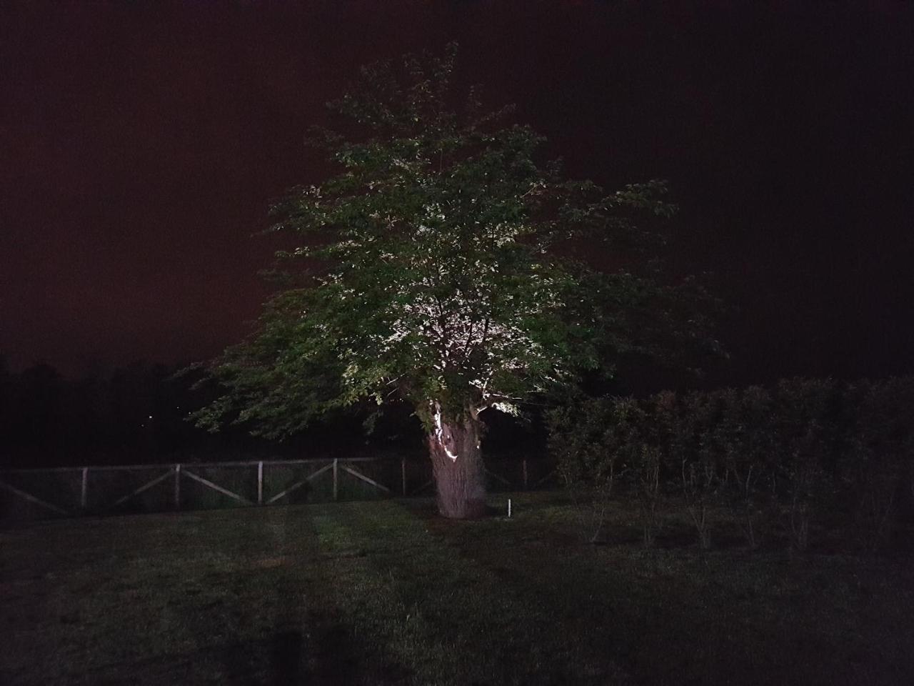 Locanda Veneta Vicenza Exteriör bild